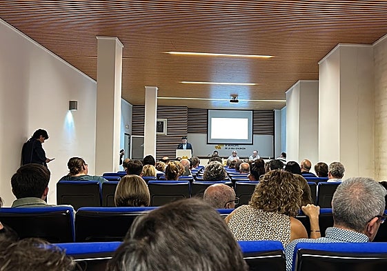 Momento del pleno de la Mancomunitat de la Vall d'Albaida.