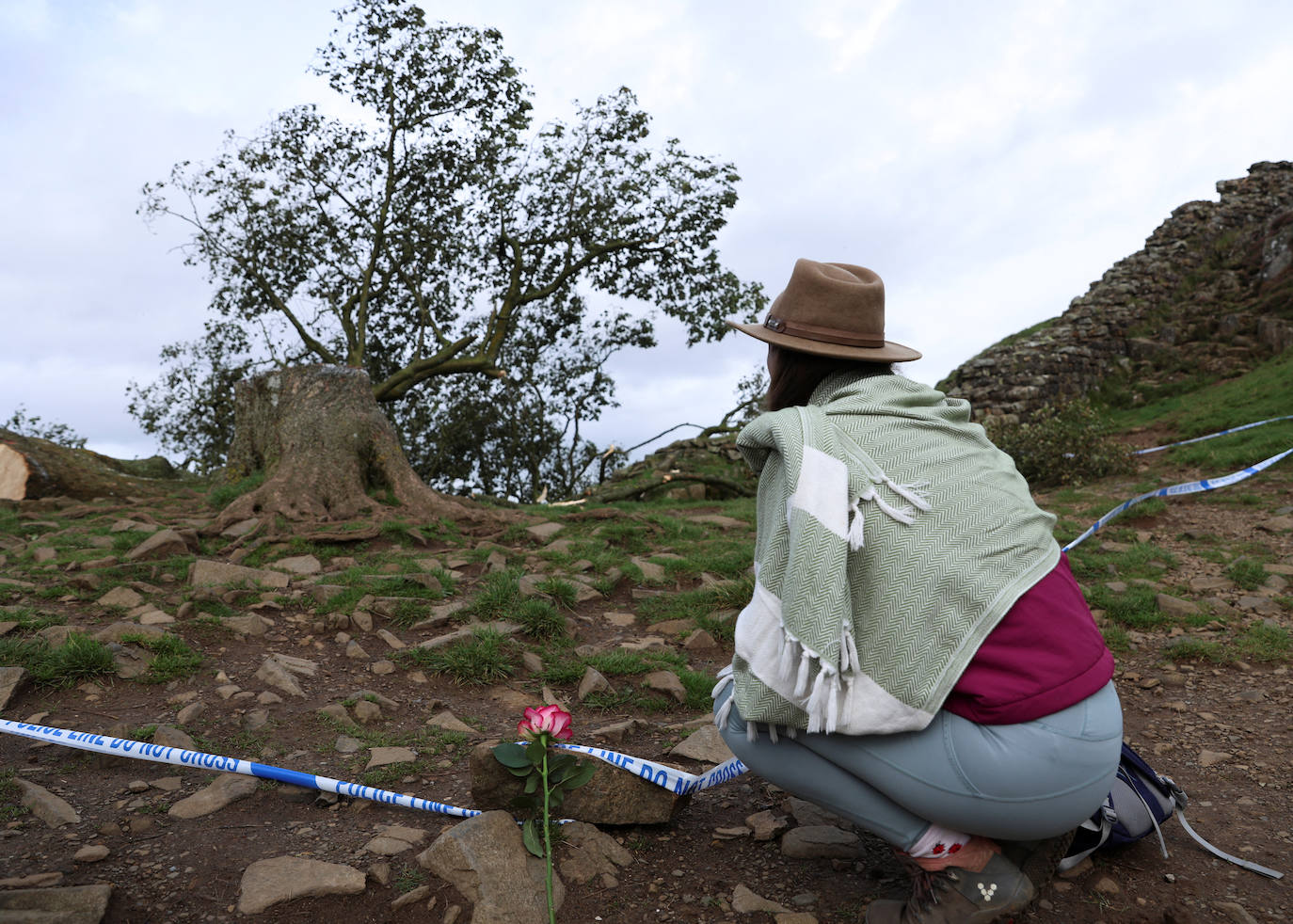 Conmoción en la sociedad británica por la tala de un árbol centenario emblemático