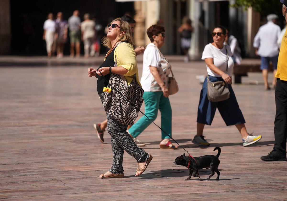 Varias personas pasean sus mascotas por las calles