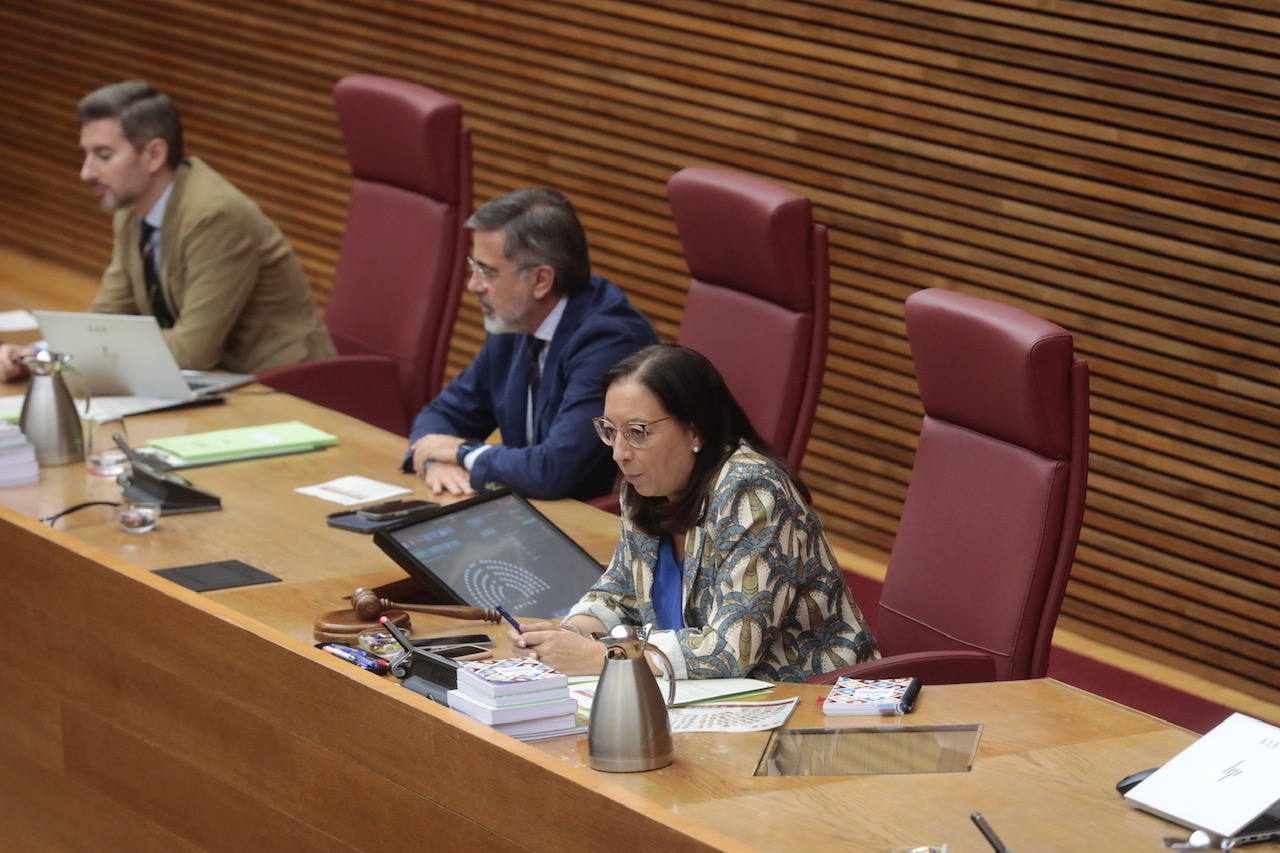 Así ha sido la primera sesión de control a la que se ha enfrentado Carlos Mazón