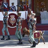 Pacoli, la cabra que le ha robado el protagonismo a los Reyes en el desfile de las Fuerzas Armadas