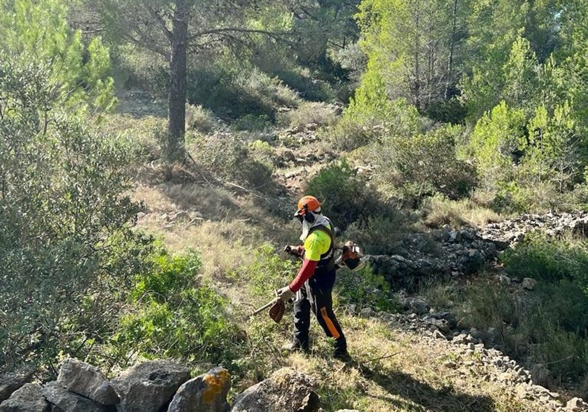 Un operario realizando las tareas de limpieza.