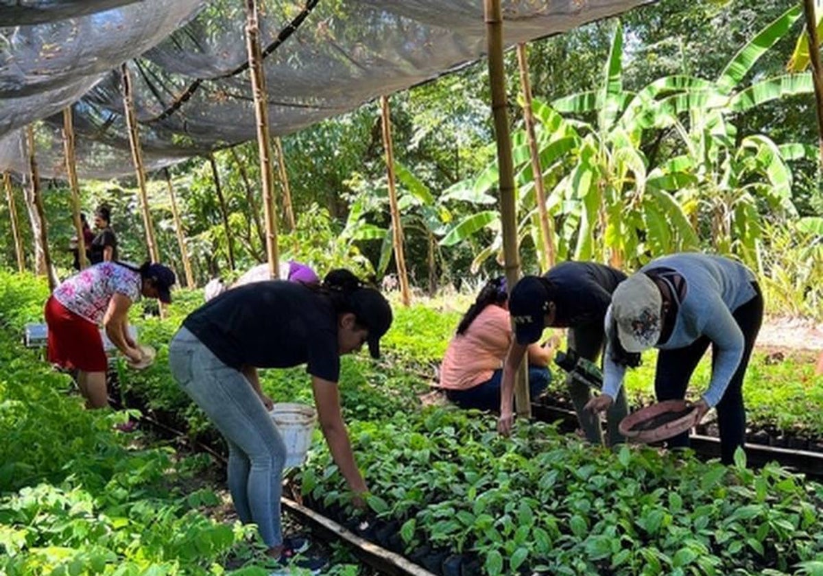 El agua centra la celebración de este Día Mundial de la Alimentación.