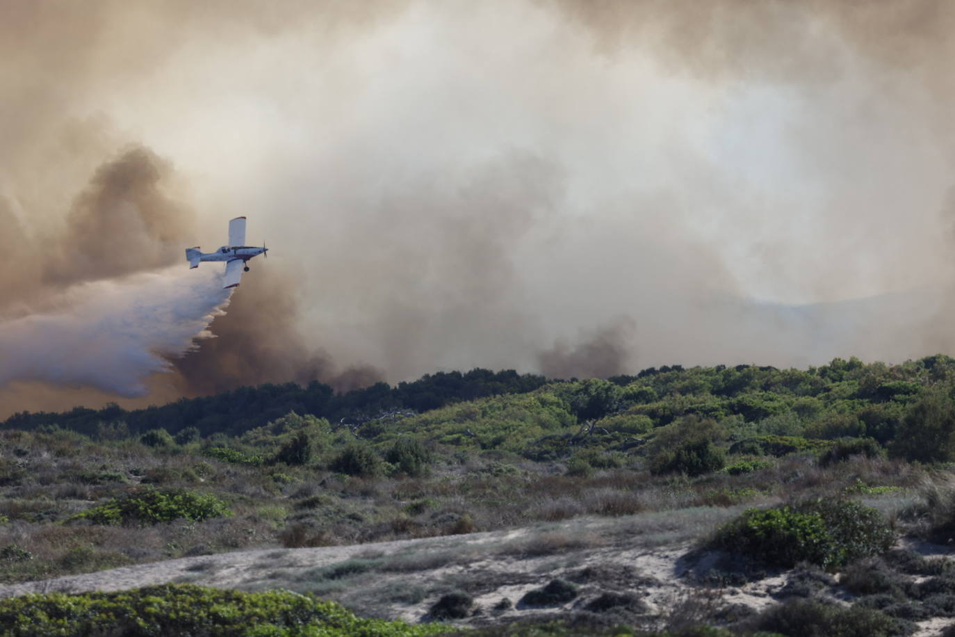 Declarado un nuevo incendio en El Saler, el segundo en menos de 24 horas