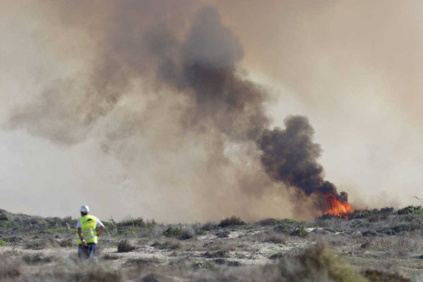 Declarado un nuevo incendio en El Saler, el segundo en menos de 24 horas