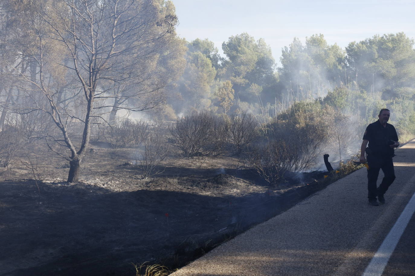 Declarado un nuevo incendio en El Saler, el segundo en menos de 24 horas