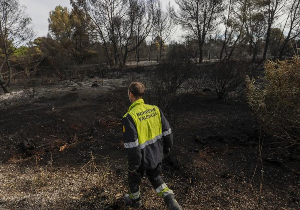 Un bombero inspecciona la zona quemada, este lunes.