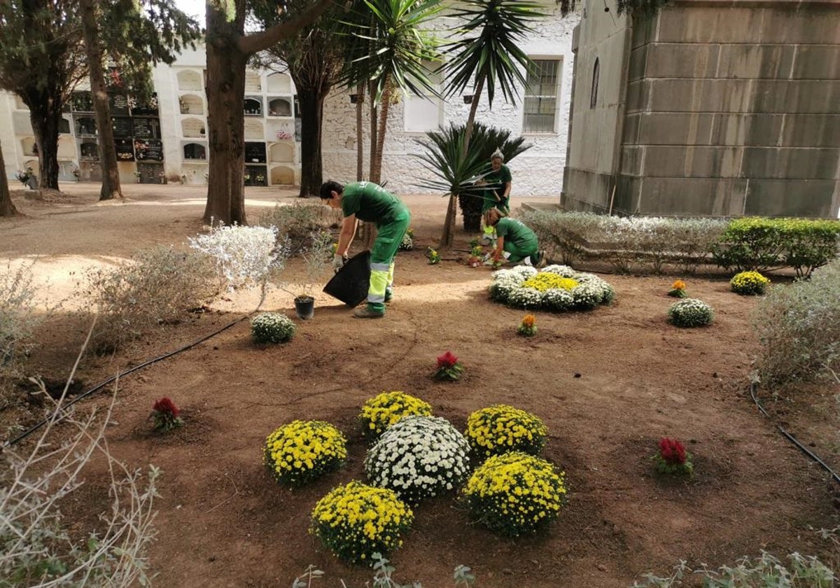 Trabajos realizados en el cementerio de Canals.