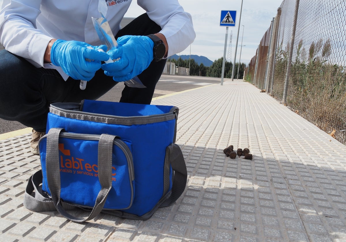 Un operario inicia el análisis ante unas heces abandonadas en una calle de Miramar.