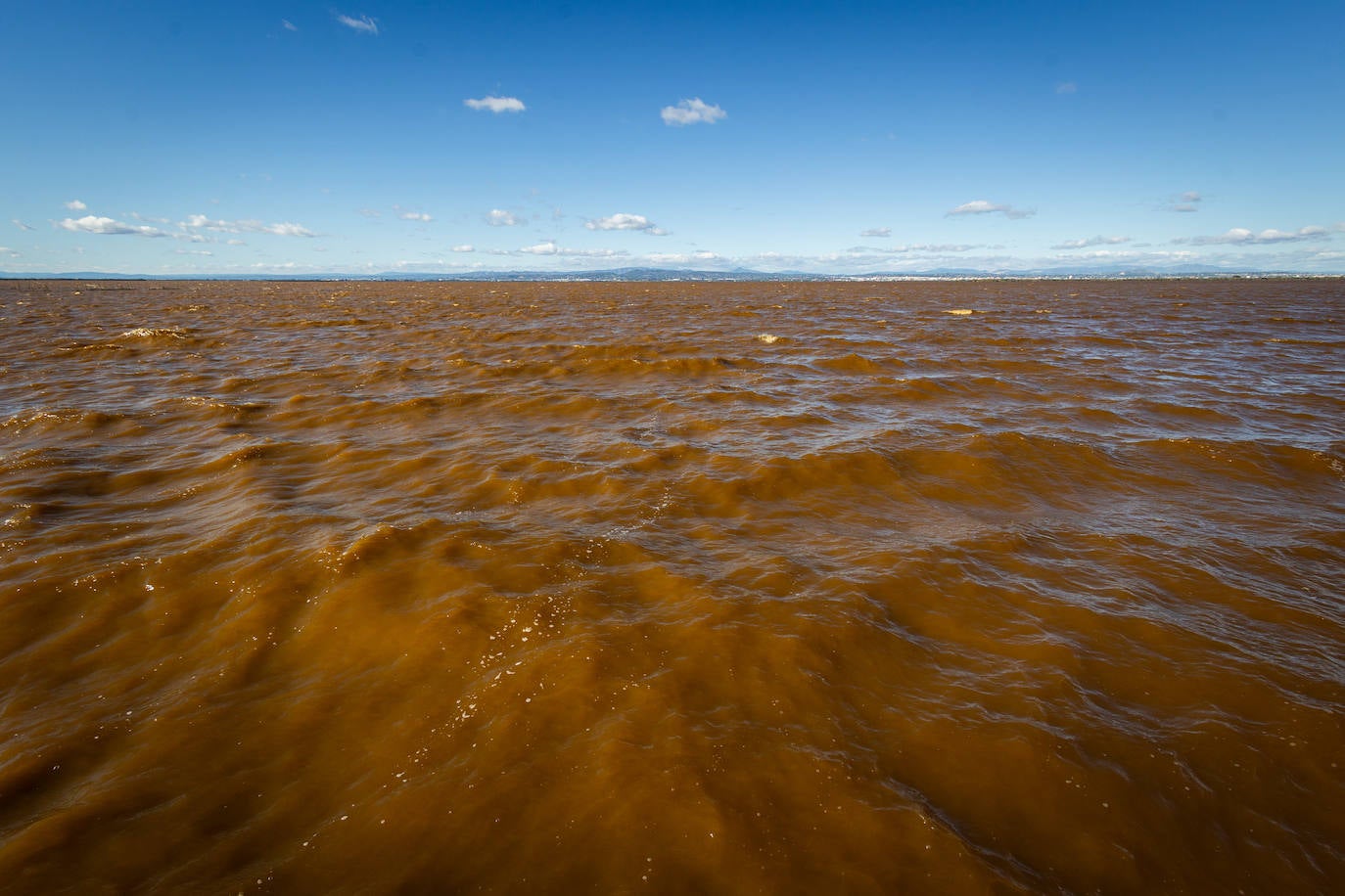 El agua de la Albufera de Valencia se vuelve marrón