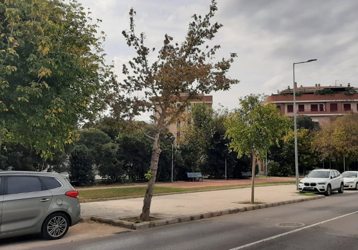 Lugar donde está prevista la ubicación del nuevo centro de salud.