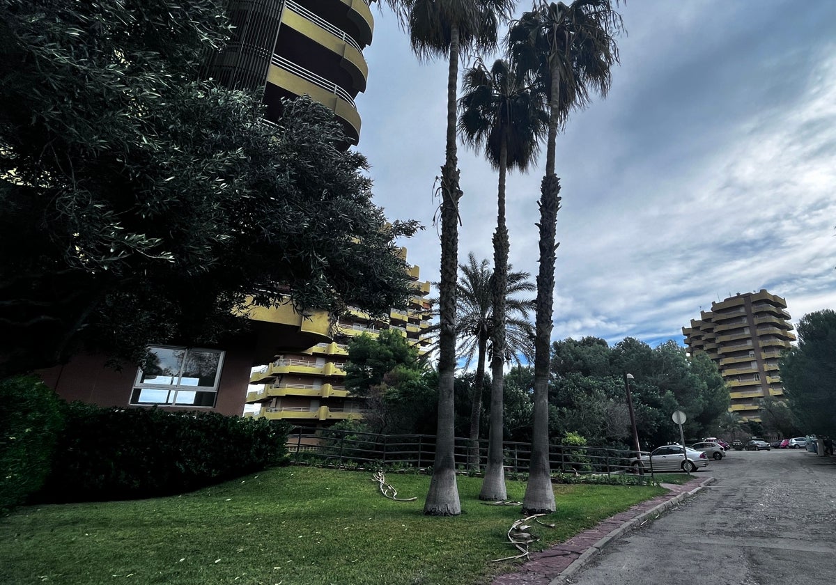 Zona en la que vivía el presunto pirómano. LAS PROVINCIAS no facilita la ubicación exacta el derecho a la intimidad de su familia.