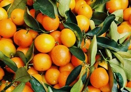 Naranjas