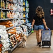 Educación prohíbe entrar con perros y gatos en los colegios valencianos