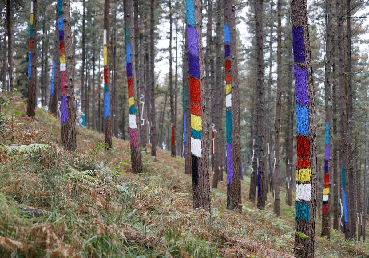 El bosque encantado de Oma se salva