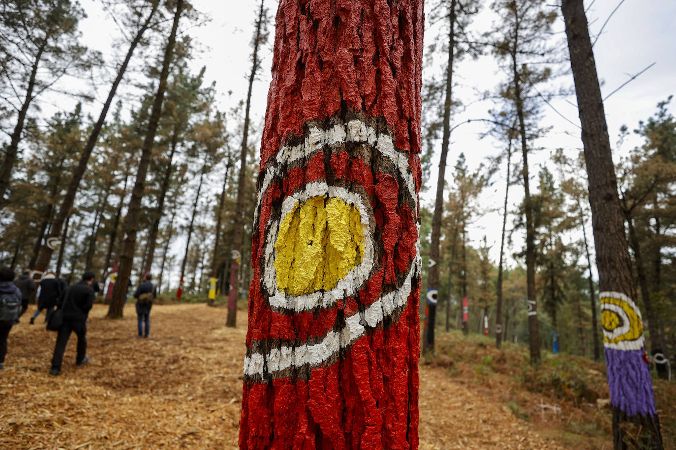 El bosque encantado de Oma se salva