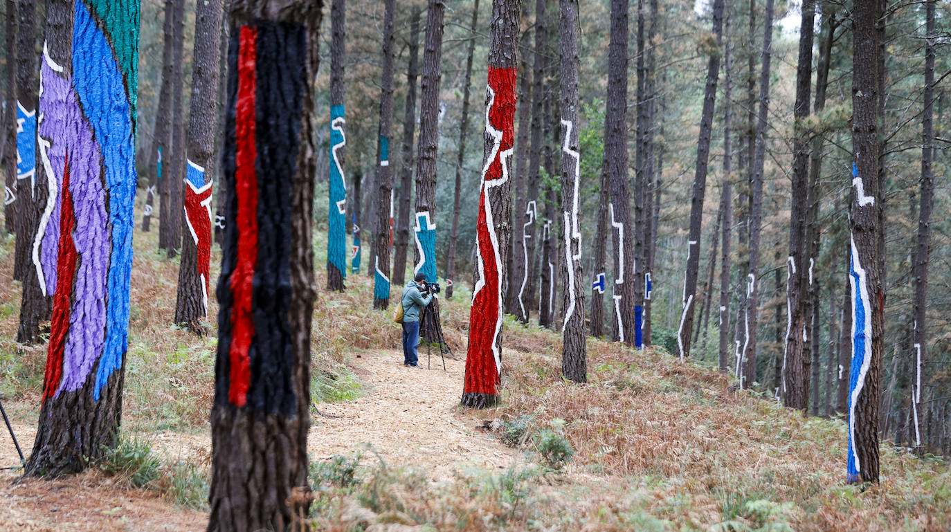 El bosque encantado de Oma se salva
