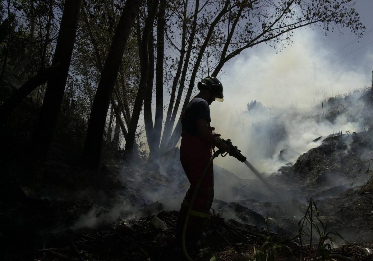 Incendio en un barranco en Torrent. Imagen de archivo