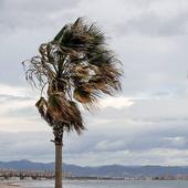 El 112 activa el riesgo nivel naranja por vientos de 100 km/hora en Valencia