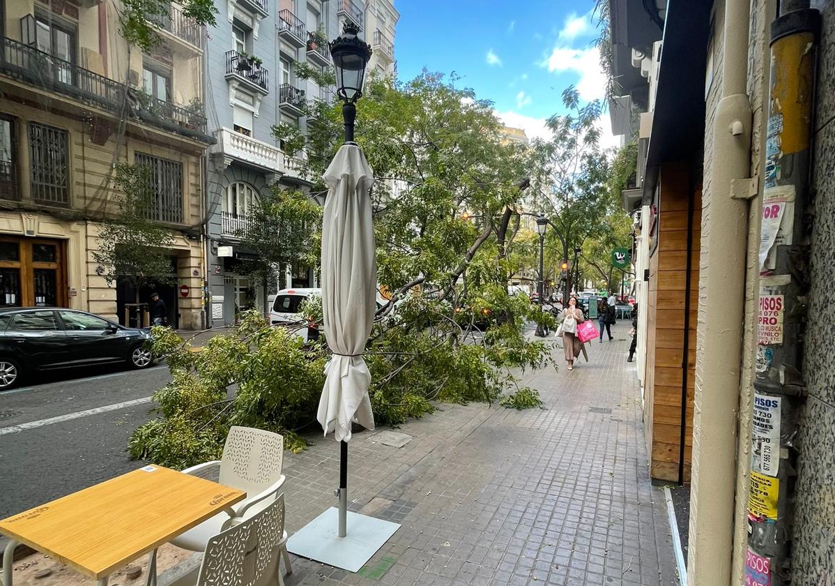 Viento en Valencia.