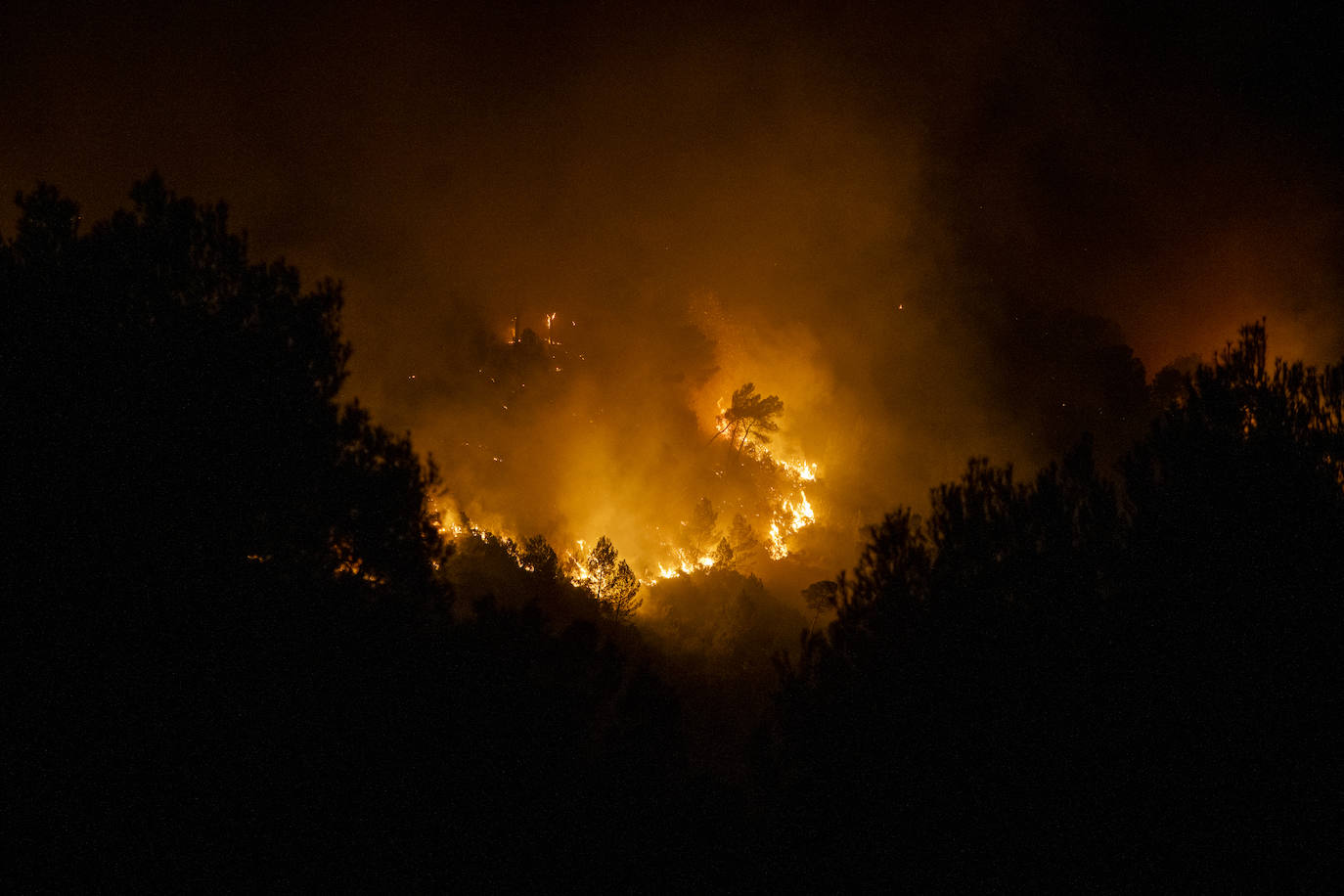 El incendio forestal de Montitxelvo, en imágenes