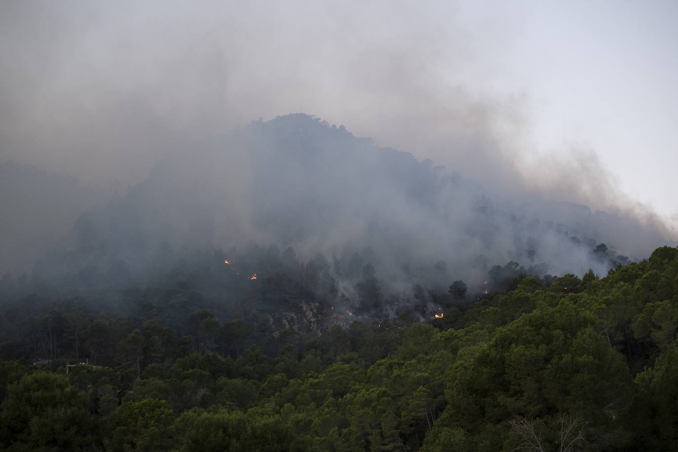 El incendio forestal de Montitxelvo, en imágenes