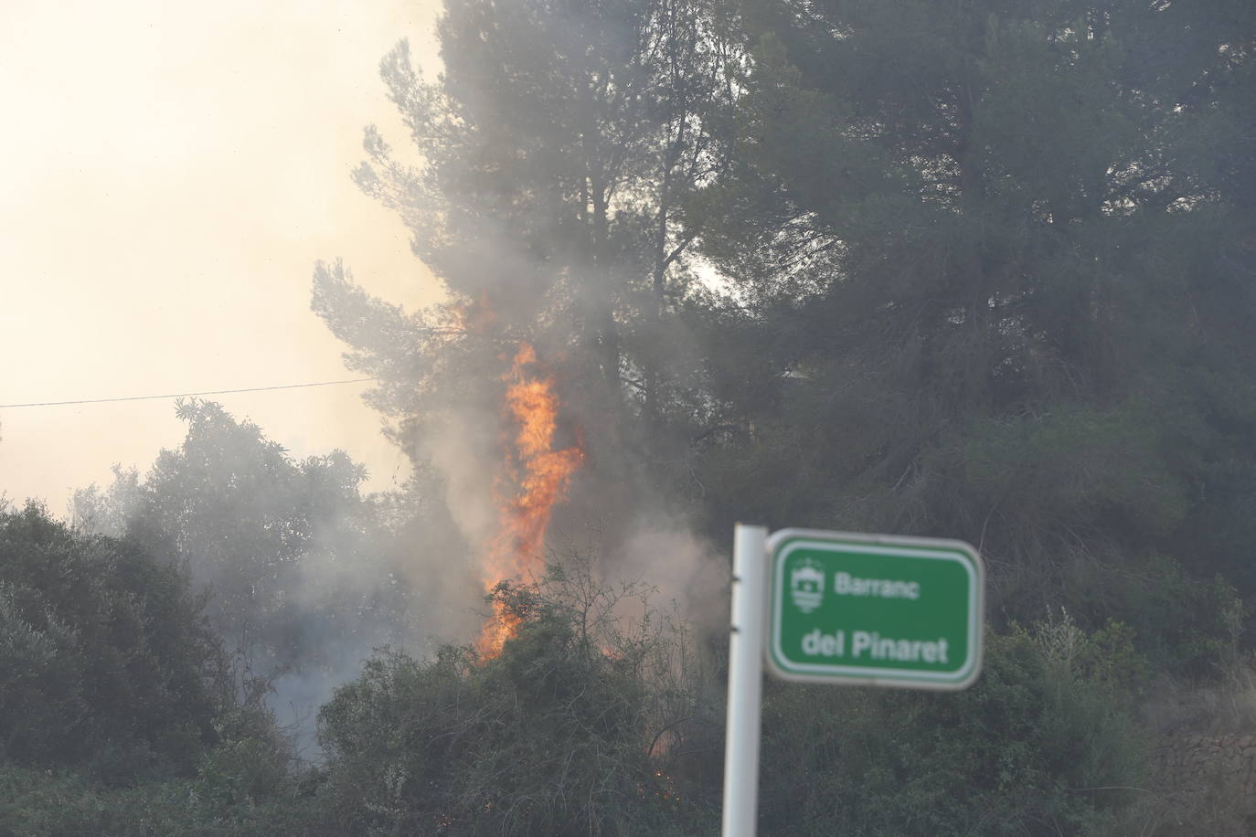 El incendio forestal de Montitxelvo, en imágenes