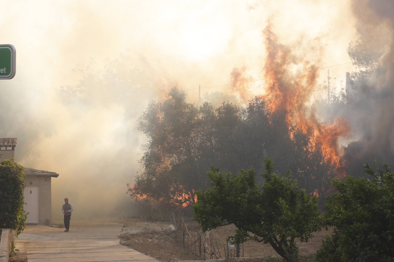 El incendio forestal de Montitxelvo, en imágenes