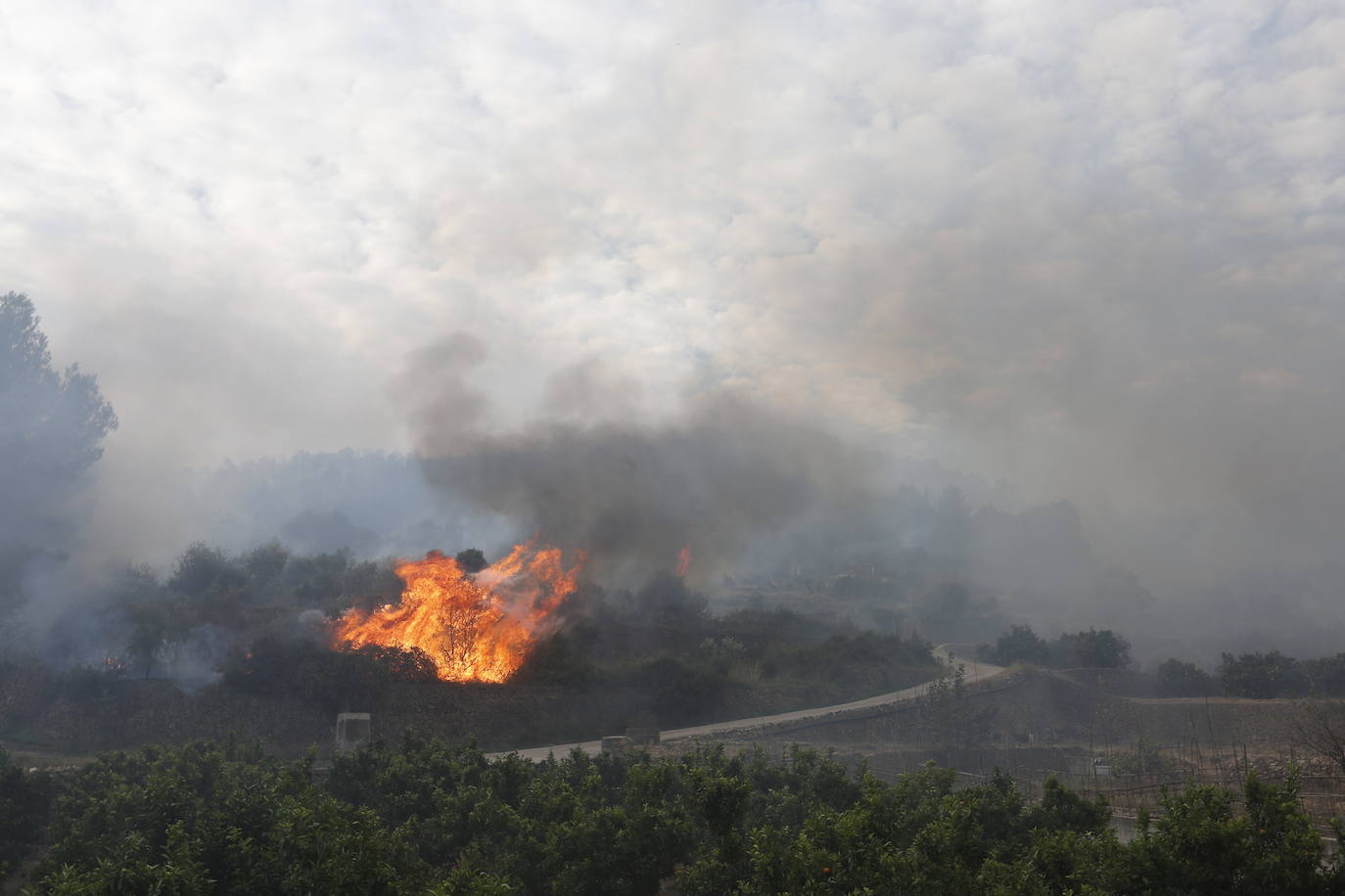 El incendio forestal de Montitxelvo, en imágenes