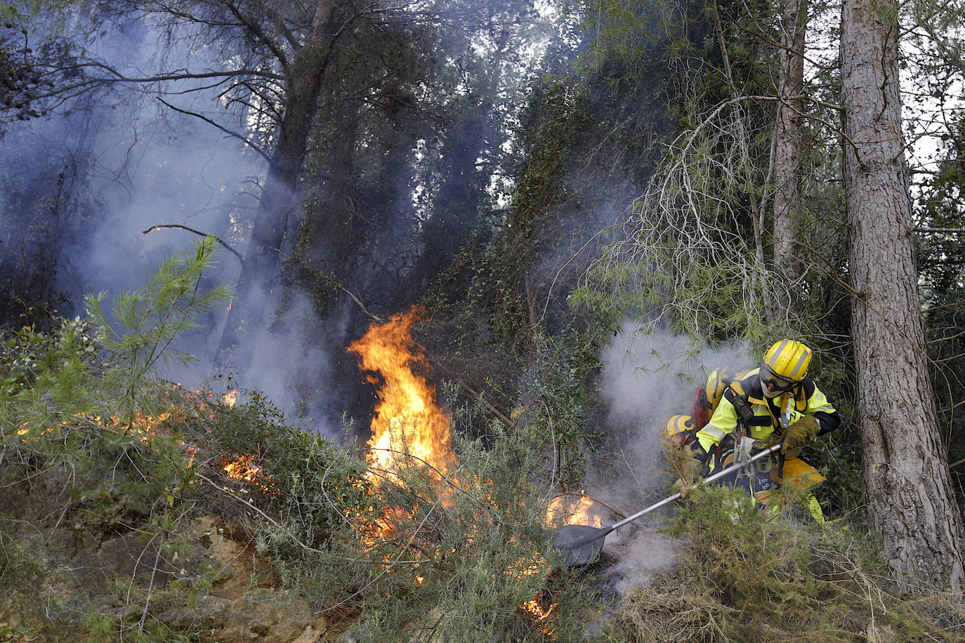 El incendio forestal de Montitxelvo, en imágenes