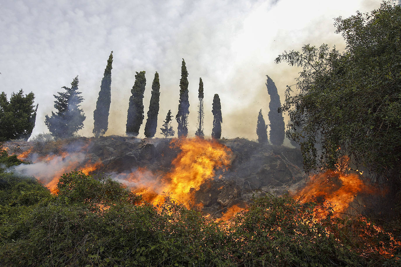 El incendio forestal de Montitxelvo, en imágenes