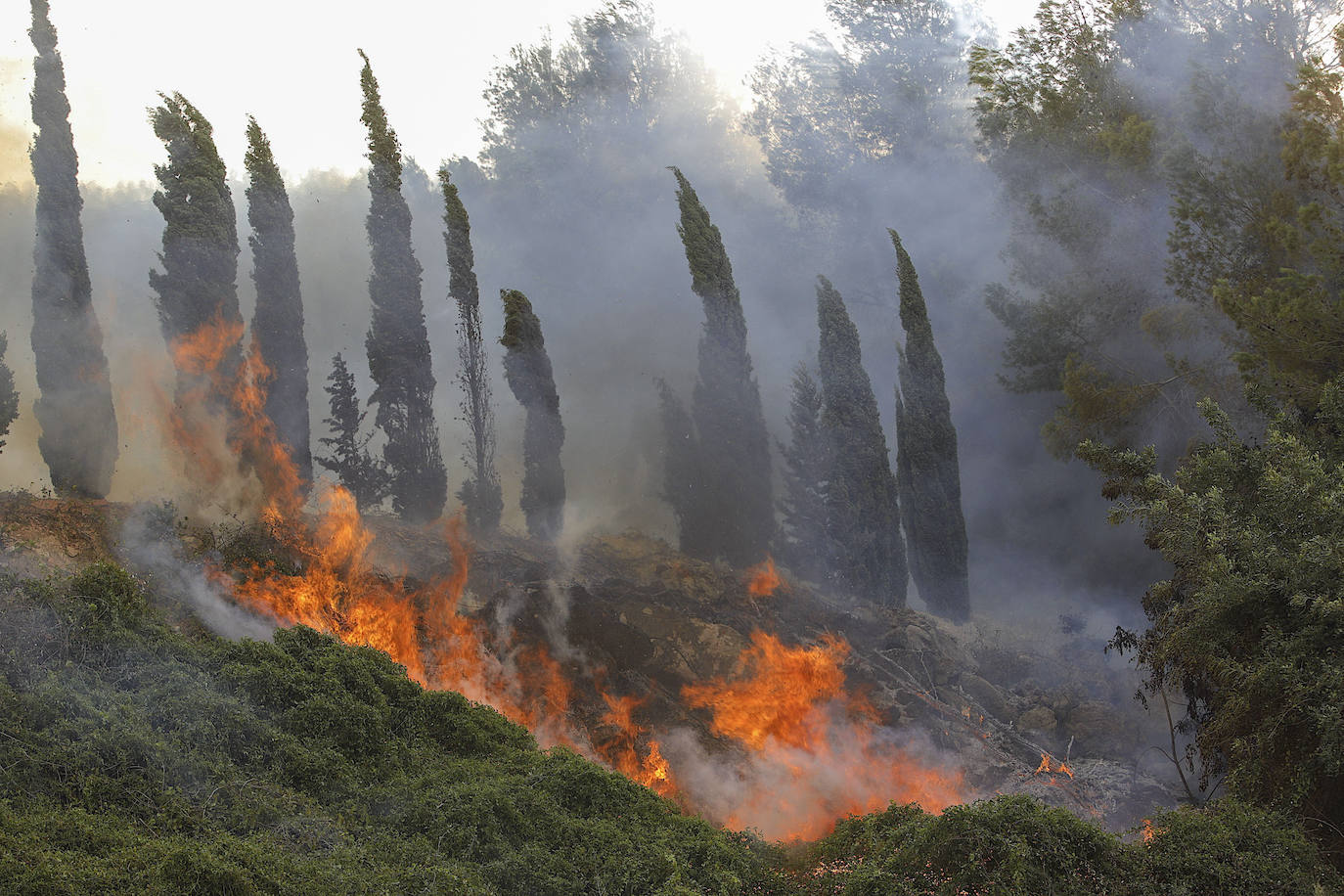 El incendio forestal de Montitxelvo, en imágenes