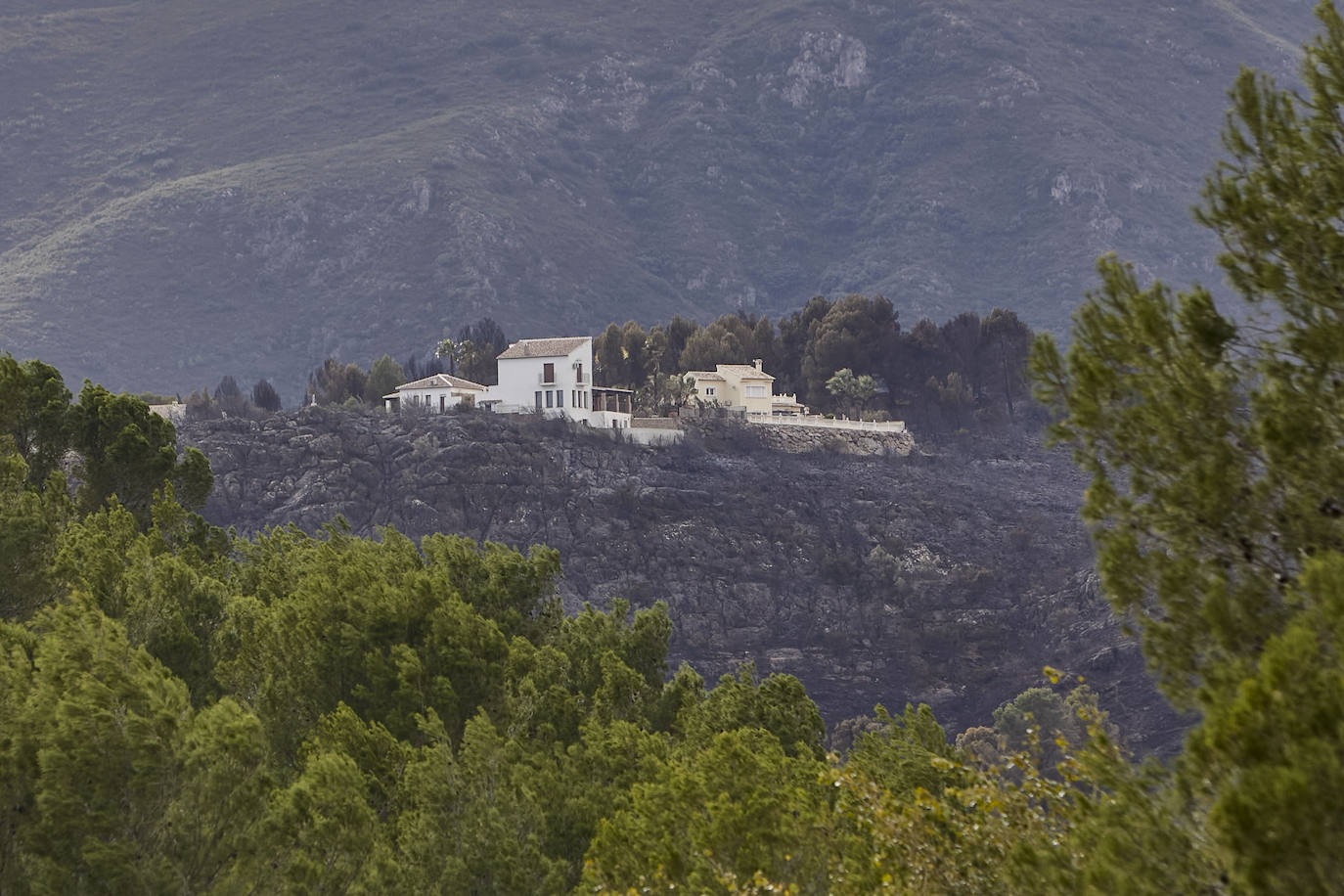 El incendio forestal de Montitxelvo, en imágenes