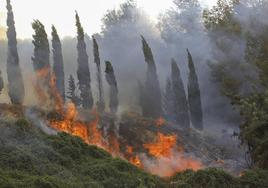 El incendio de Montitxelvo encara su tercer día, aún sin control y con el viento en contra.