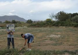 Mario coloca un cartel para intentar alquilar un campito que ha heredado de su padre en La Pobla de Farnals.