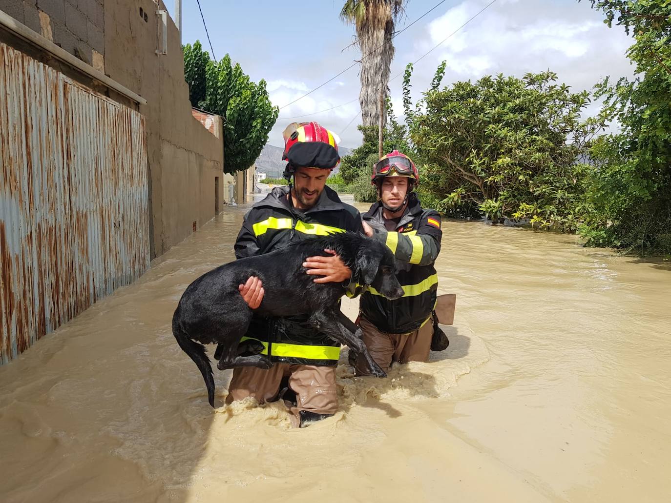 Los boinas amarillas, los centinelas del fuego y el agua