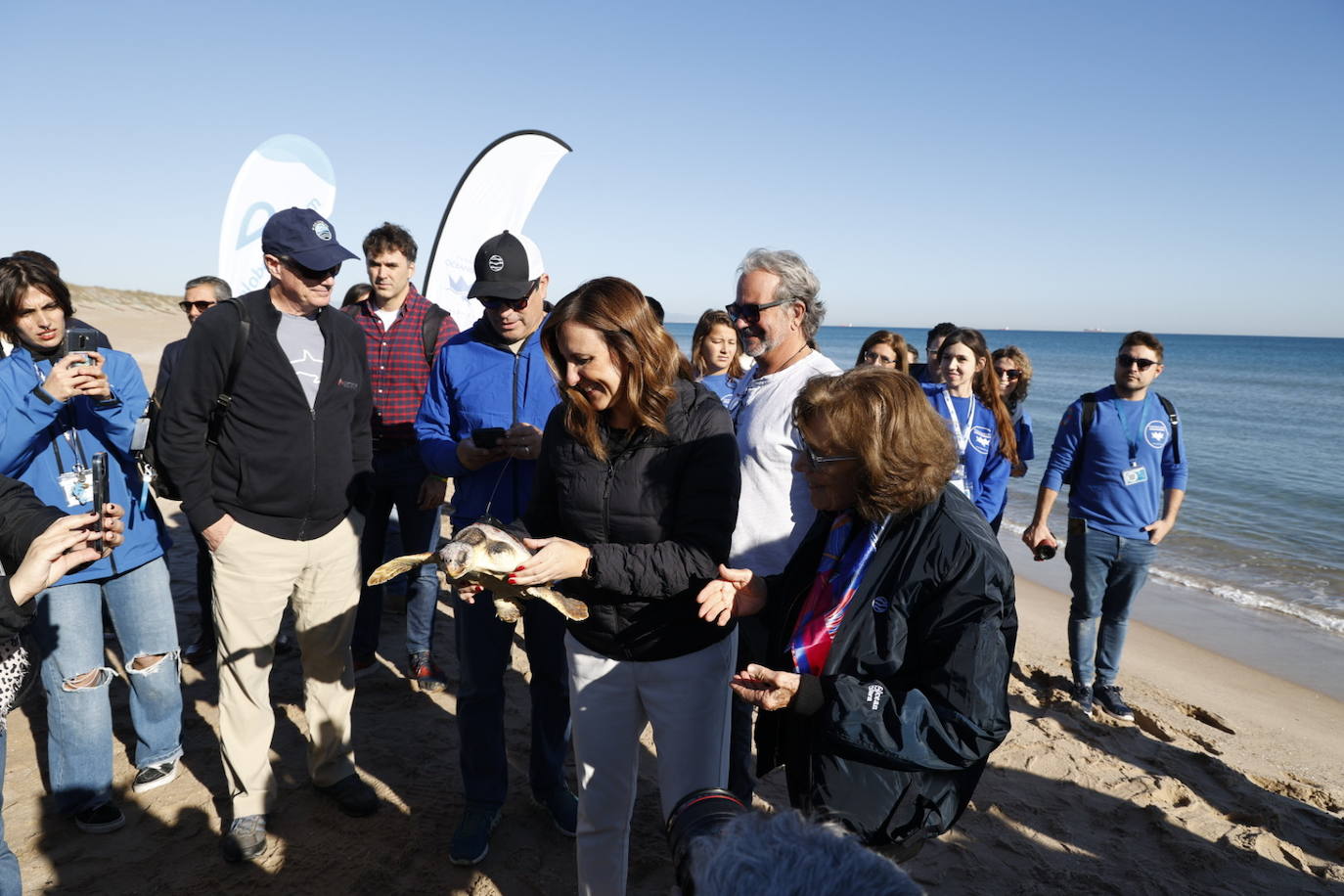 La tortuga marina recuperada en l&#039;Oceanogràfic vuelve al mar en el Saler