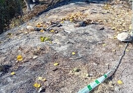 Uno de los lugares señalizados por la Guardia Civil como posible foco del incendio.