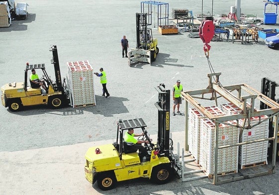 Trabajadores preparan palets de naranjas en el puerto de Gandia para ser cargados en un barco holandés.