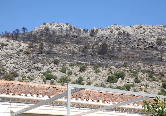 Parte de la Sierra de Segària que ha ardido.