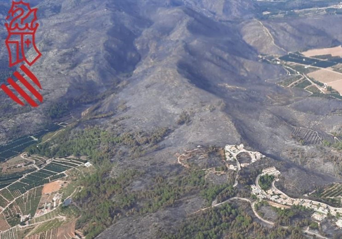 Vista aérea del terreno forestal calcinado.