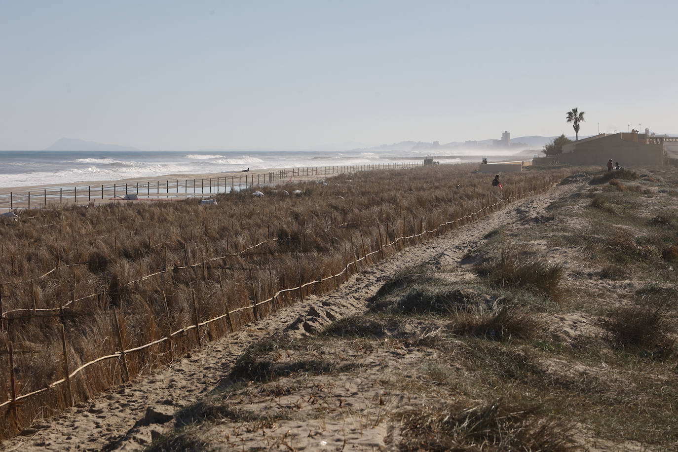 El mar entra en las nuevas dunas de las playas regeneradas en El Saler