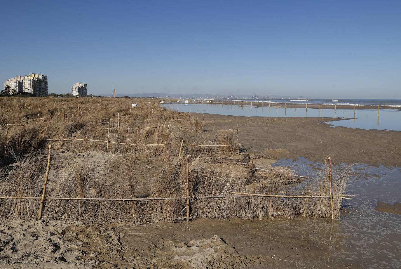 El mar entra en las nuevas dunas de las playas regeneradas en El Saler