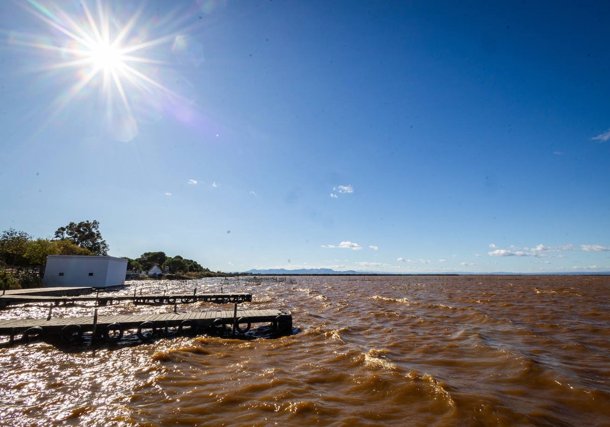 Vista de la Albufera con las aguas de color marrón.