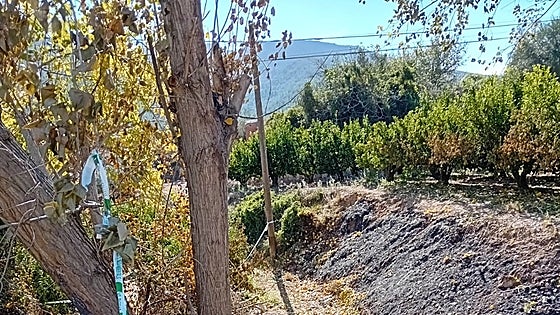 La Guardia Civil determina que el cableado en mal estado de una torre eléctrica provocó el incendio de Montitxelvo