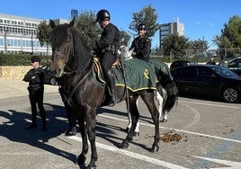 Agentes de la Guardia Civil este viernes en el Circuit Ricardo Tormo.