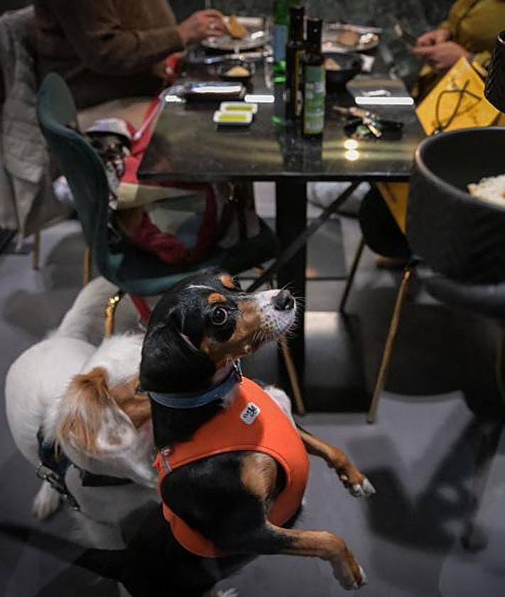 Imagen secundaria 2 - Interior y platos de Fiuto.