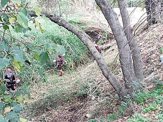 Primeros trabajos en Sumacàrcer.