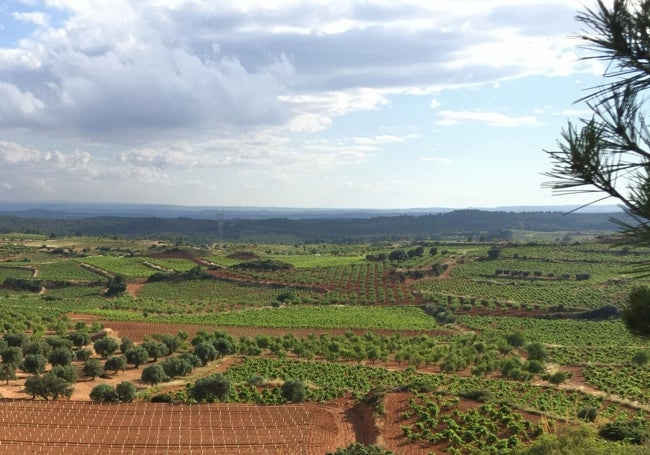 La finca Lemuria.