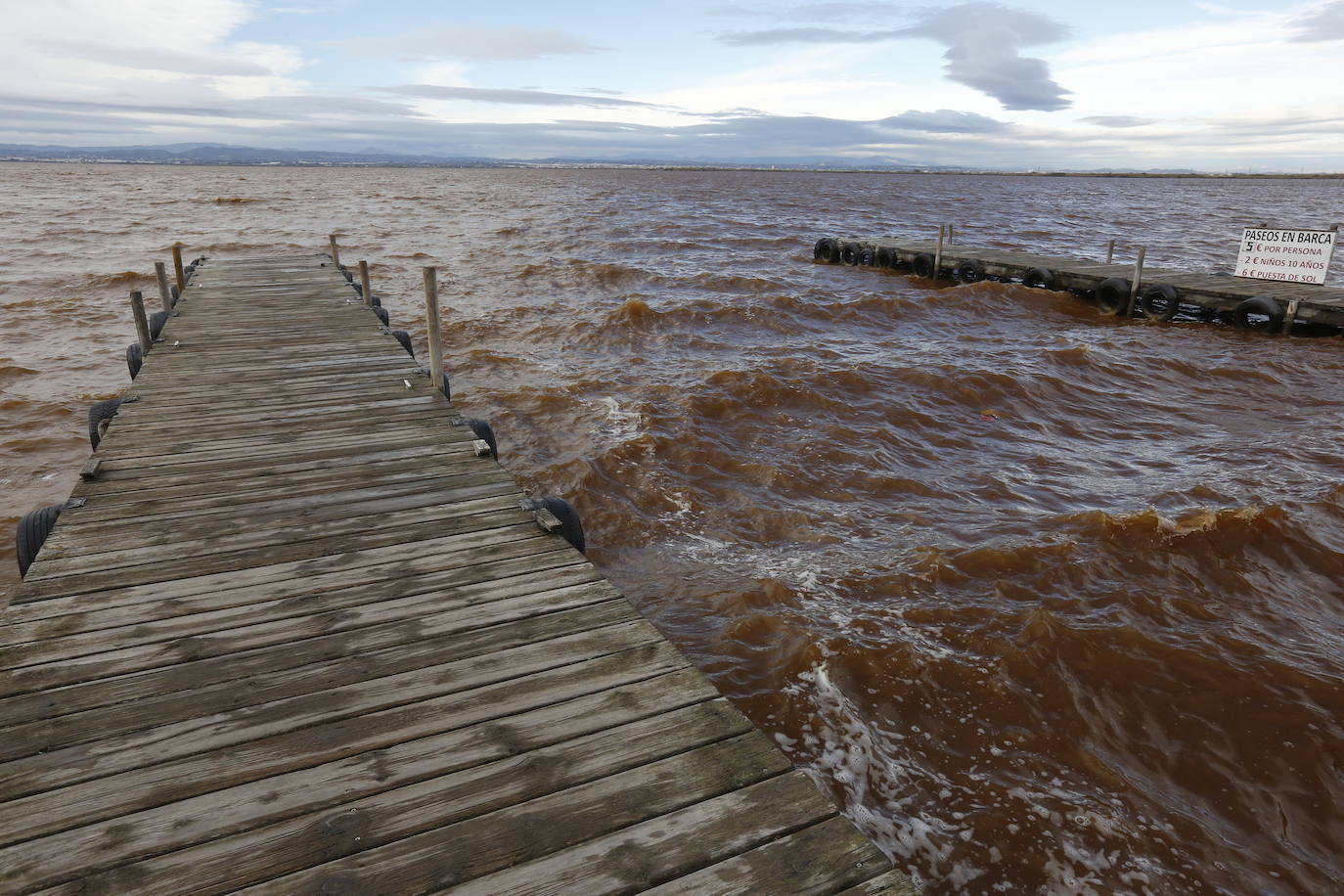 El agua de la Albufera sigue marrón